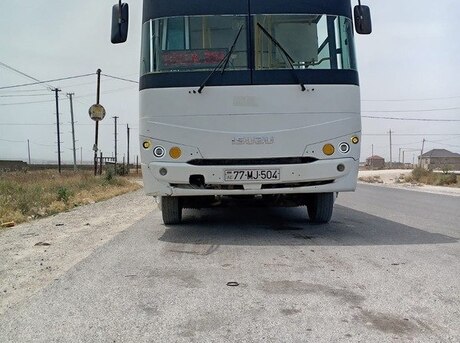 Isuzu Ecobus 2012