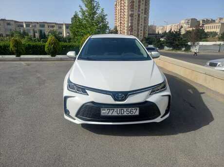 Toyota Corolla 2024