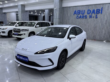 BYD  2025