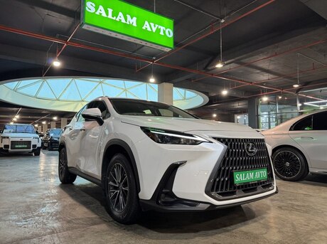 Lexus NX 200 2022