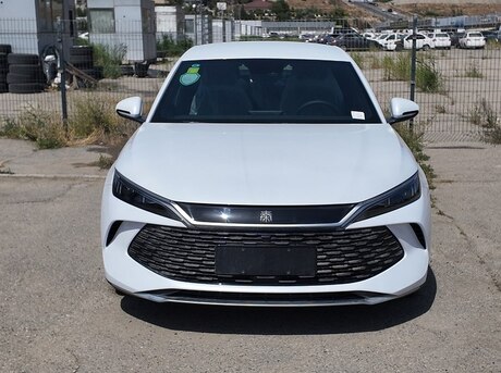 BYD  2024