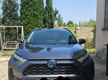 Toyota RAV4 2024