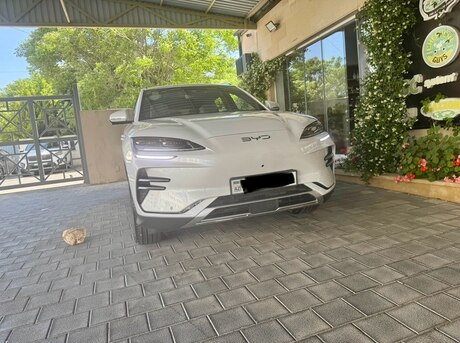 BYD  2024