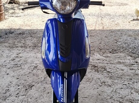 Mondial 100 Loyal