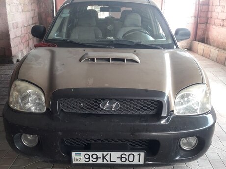 Hyundai Santa Fe 2001