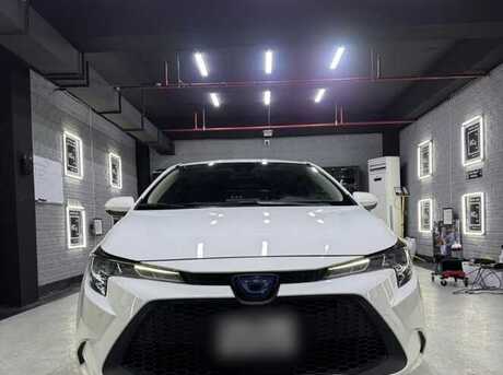 Toyota Corolla 2019