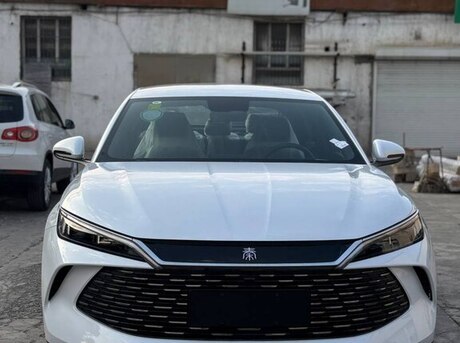 BYD  2024