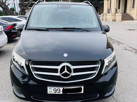 Mercedes Viano
