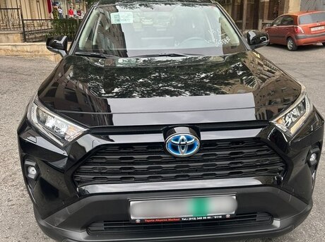 Toyota RAV4 2024