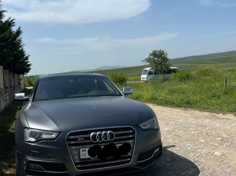 Audi S5 2013