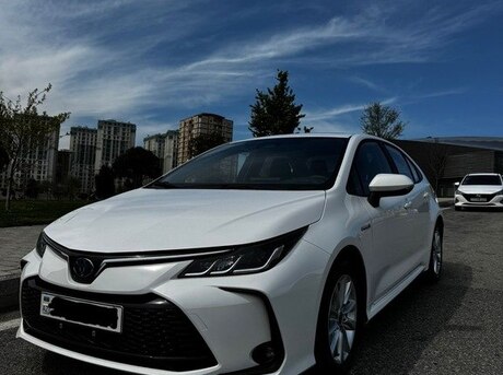 Toyota Corolla 2024