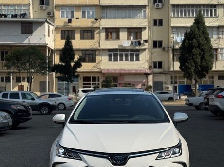 Toyota Corolla 2023