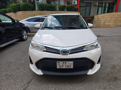 Toyota Corolla Fielder 2019