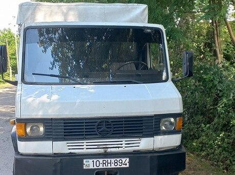 Mercedes Vario 1991
