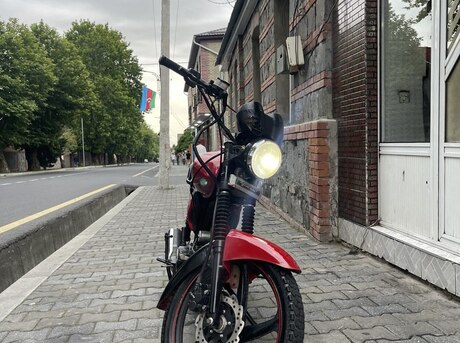 Mondial 100 Loyal