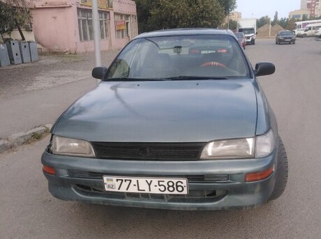 Toyota Corolla 1996