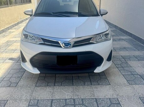 Toyota Corolla Fielder 2019