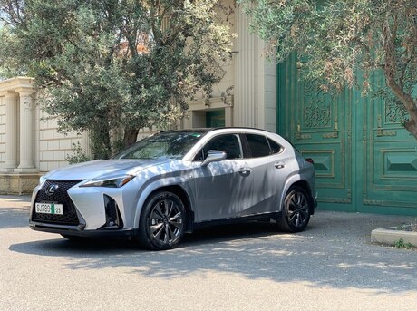 Lexus UX 300h