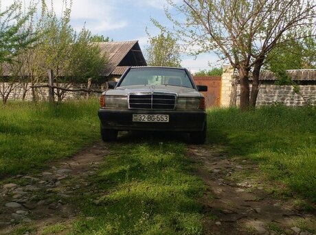 Mercedes 190 1991