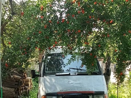 GAZ 3302-744 2000