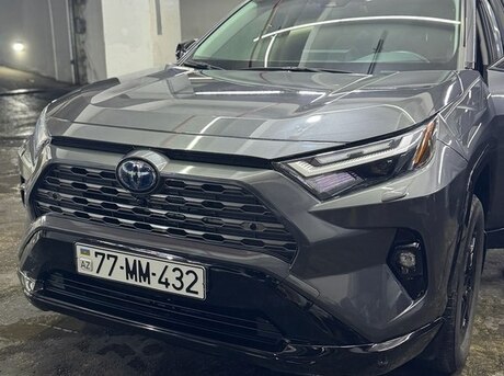 Toyota RAV4 2024