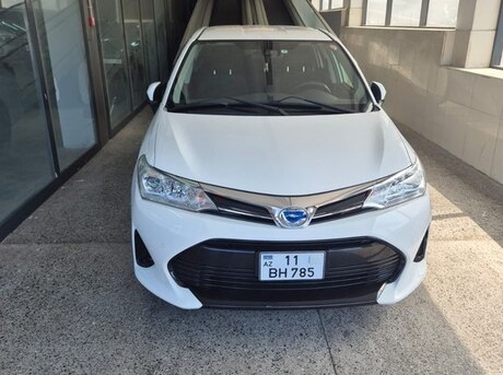 Toyota Corolla Fielder 2019