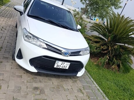 Toyota Corolla Fielder