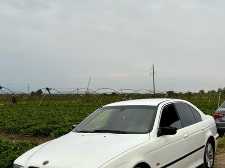 BMW 525 1997