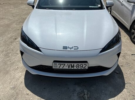 BYD  2025