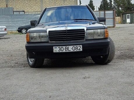Mercedes 190 1991