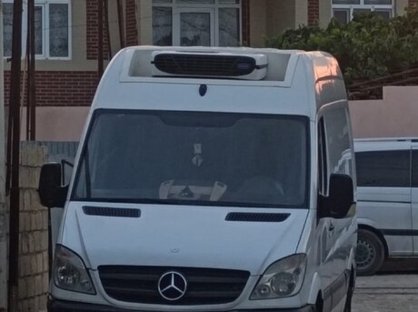 Mercedes Sprinter 313