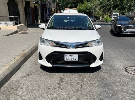 Toyota Corolla Fielder