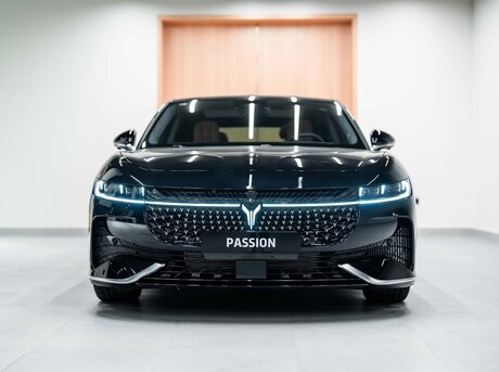 Voyah Passion