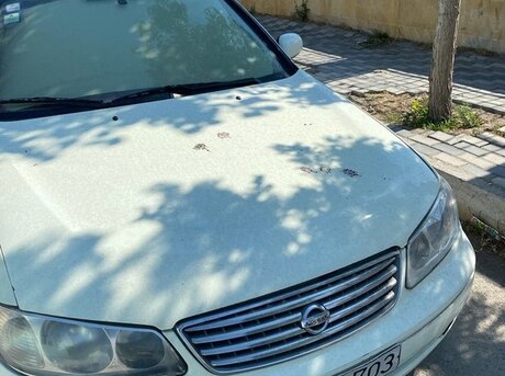 Nissan Sunny 2008