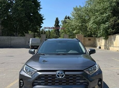 Toyota RAV4 2024