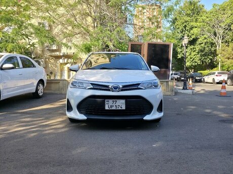 Toyota Corolla Fielder 2019