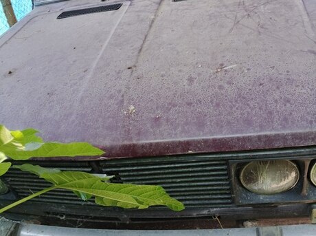 LADA (VAZ) 2106 2000