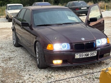 BMW 316
