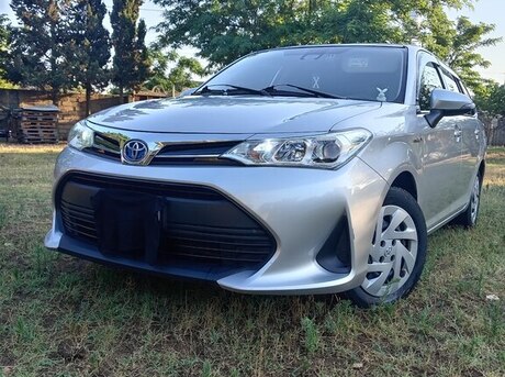 Toyota Corolla Fielder 2019