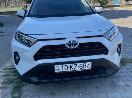 Toyota RAV4 2024