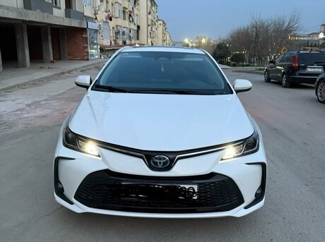 Toyota Corolla 2024