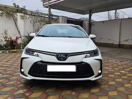 Toyota Corolla 2024