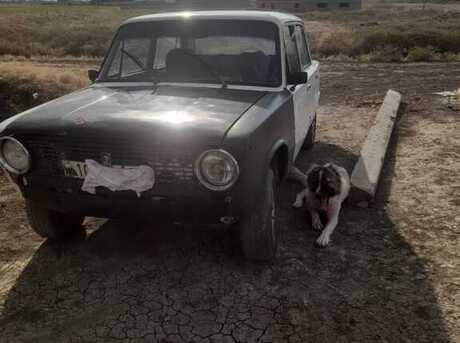 LADA (VAZ) 21011 1982