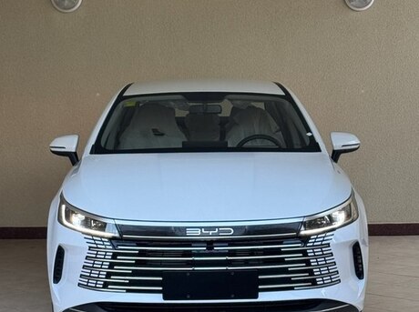 BYD Destroyer 05