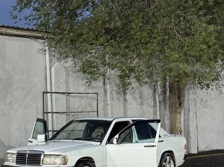 Mercedes 190 1991