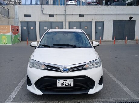 Toyota Corolla Fielder 2019