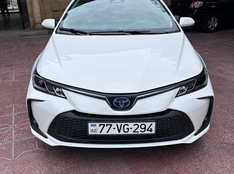 Toyota Corolla 2024