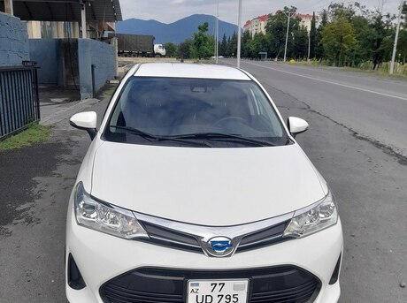 Toyota Corolla Fielder
