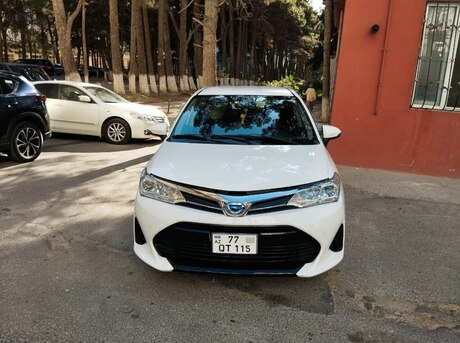 Toyota Corolla Fielder 2019