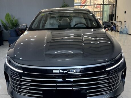 BYD Destroyer 05 2024